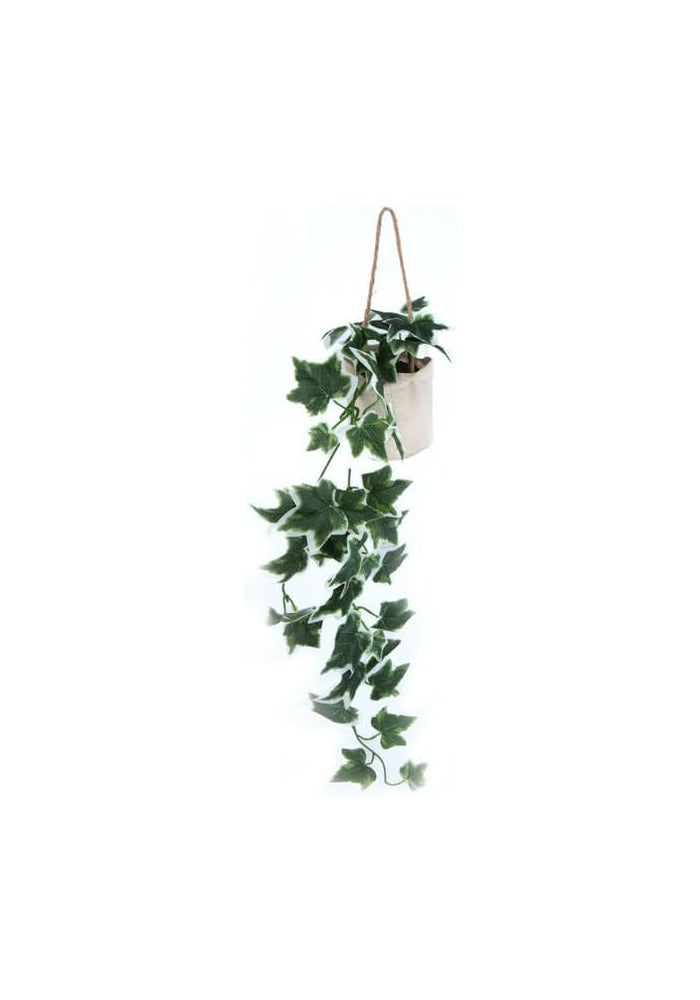 DAISO Hanging Pot Ivy – Speckled | Decorative Indoor Plant Pot | Wall & Ceiling Hanging Planter - Image 1